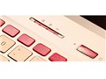 FMV LIFEBOOK Floral Kiss CH75/W FMVC75WR [Elegant Red with Beige]
