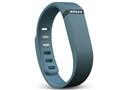 Fitbit Flex FB401SL-JPN [�X���[�g]