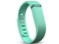 Fitbit Flex FB401TE-JPN [�e�B�[��]