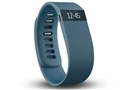 Fitbit charge S�T�C�Y FB404SLS-JPN [�X���[�g]