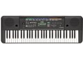 PORTATONE PSR-E253