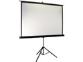 T113UWS1-Pro [113�C���` �}�b�N�X�z���C�g]