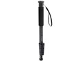Pole Pod III