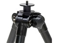 Pole Pod III