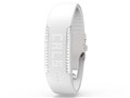 LOOP CRYSTAL �A�N�e�B�r�e�B�E�g���b�J�[