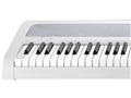 DIGITAL PIANO B1 WH [�z���C�g]