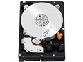 WD1001FYYG [1TB 7200 SAS2.0]