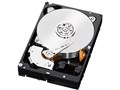 WD1001FYYG [1TB 7200 SAS2.0]