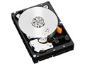 WD1001FYYG [1TB 7200 SAS2.0]