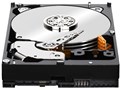 WD1001FYYG [1TB 7200 SAS2.0]