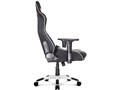 Pro-X Gaming Chair AKR-PRO-X/WHITE [�z���C�g]