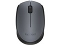 Wireless Mouse M171 M171GR [�O���[]