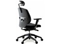 ��50H C005BKD1 [DOT BLACK]