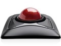 Expert Mouse Wireless Trackball K72359JP