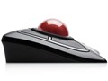 Expert Mouse Wireless Trackball K72359JP