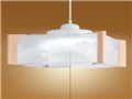 LIFELED'S HCDS0424