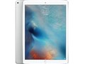 iPad Pro Wi-Fi+Cellular 256GB docomo [�V���o�[]