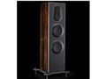 Platinum PL300 II-EB [NATURAL EBONY �y�A]