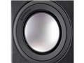 Platinum PL300 II-EB [NATURAL EBONY �y�A]
