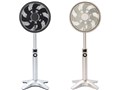 kamomefan FKLR-251D-CGD [�V�����p���S�[���h]