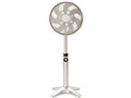 kamomefan FKLR-251D-CGD [�V�����p���S�[���h]