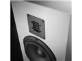 Classic 7.0 [�s�A�m�z���C�g �y�A]