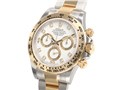 �R�X���O���t �f�C�g�i 116503G [8P�_�C�� �I�C�X�^�[�u���X���b�g �z���C�g]