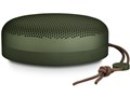 B&O PLAY Beoplay A1 [Moss Green]