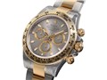 �R�X���O���t �f�C�g�i 116503 [�I�C�X�^�[�u���X���b�g �O���[]