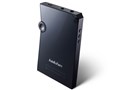 Astell&Kern AK300-64GB-BLK [64GB]