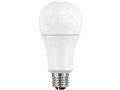 LDA13L-G AG9 [�d���F]