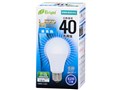 E-Bright LDA5D-G AS25 [�����F]