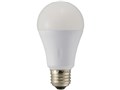 E-Bright LDA2D-G AS25 [�����F]
