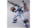 METAL BUILD �K���_���A�X�g���C �u���[�t���[�� �t���E�E�F�|������