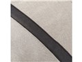 LiteTrax air [�J�[�L]