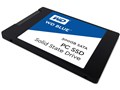 WD Blue WDS500G1B0A