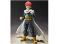 S.H.�t�B�M���A�[�c TP(�^�C���p�g���[���[) XENOVERSE Edition