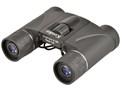 8x21 DH II SG