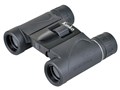 8x21 DH II SG
