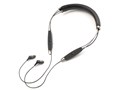 R6 Neckband
