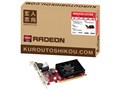 RH6450-LE1GB [PCIExp 1GB]
