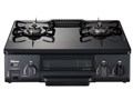 IC-N36B-R LP