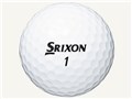 �X���N�\�� Z-STAR 2017�N���f�� [�z���C�g]