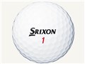 �X���N�\�� Z-STAR XV 2017�N���f�� [�z���C�g]