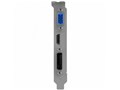 NE5T7300HD46-2081F (GT730 2GB LP) [PCIExp 2GB] �h�X�p��Web���胂�f��