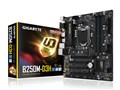 GA-B250M-D3H [Rev.1.0]