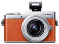 LUMIX DC-GF9W-D �_�u�������Y�L�b�g [�I�����W]