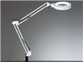 Z-LIGHT Z-37NLW [�z���C�g]