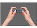 Joy-Con (L)/(R) HAC-A-JAAAA [�O���[/�O���[]