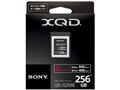 QD-G256E [256GB]
